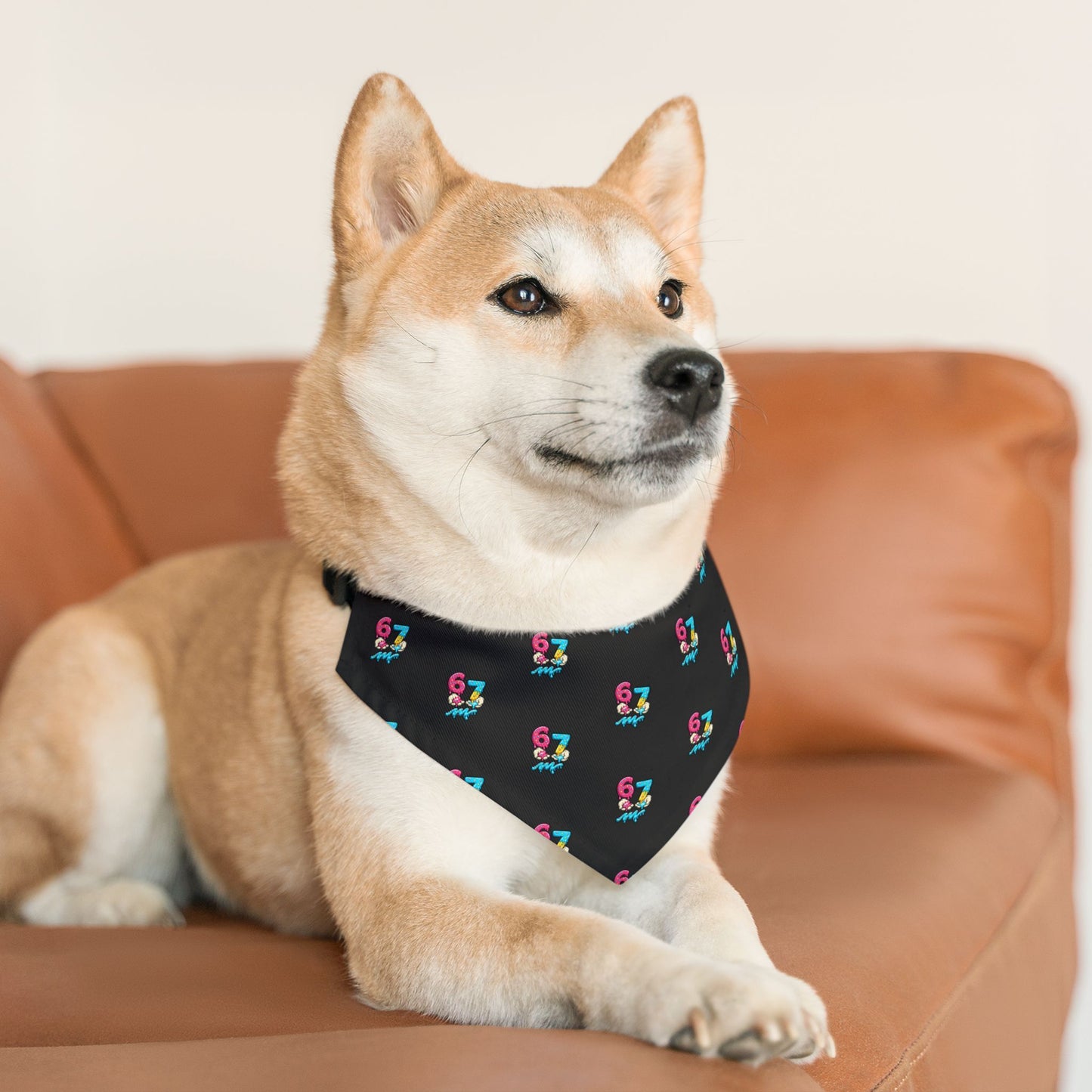 M3 Drippy Donut 6-7 | Pet Bandana Collar