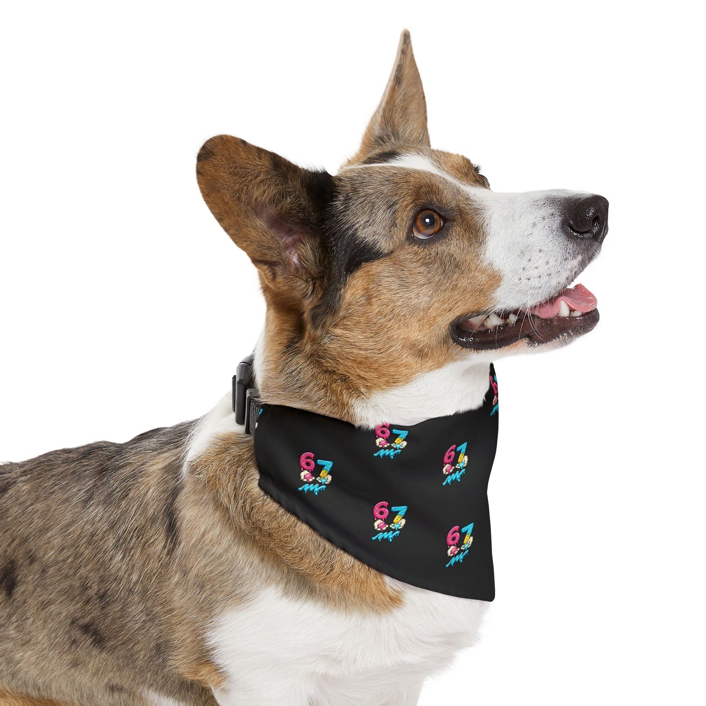 M3 Drippy Donut 6-7 | Pet Bandana Collar
